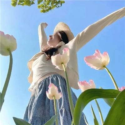 太阳花